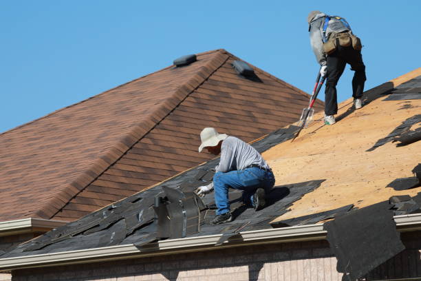 Best Solar Panel Roofing Installation  in La Salle, CO