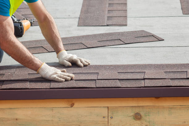 Best Roof Moss and Algae Removal  in La Salle, CO